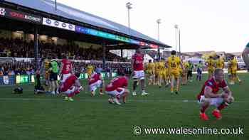 Today's rugby news as Dragons players blown away and Scarlets desperate for help