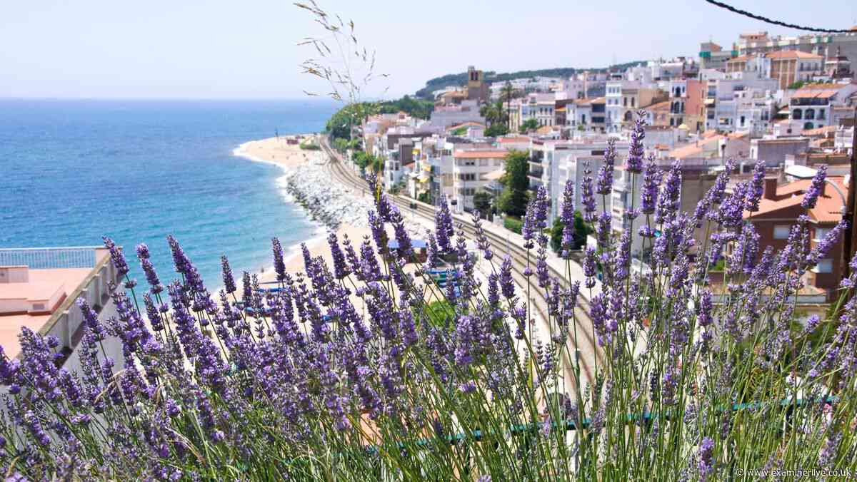 'Red' alert warning for popular Spain holiday hotspot