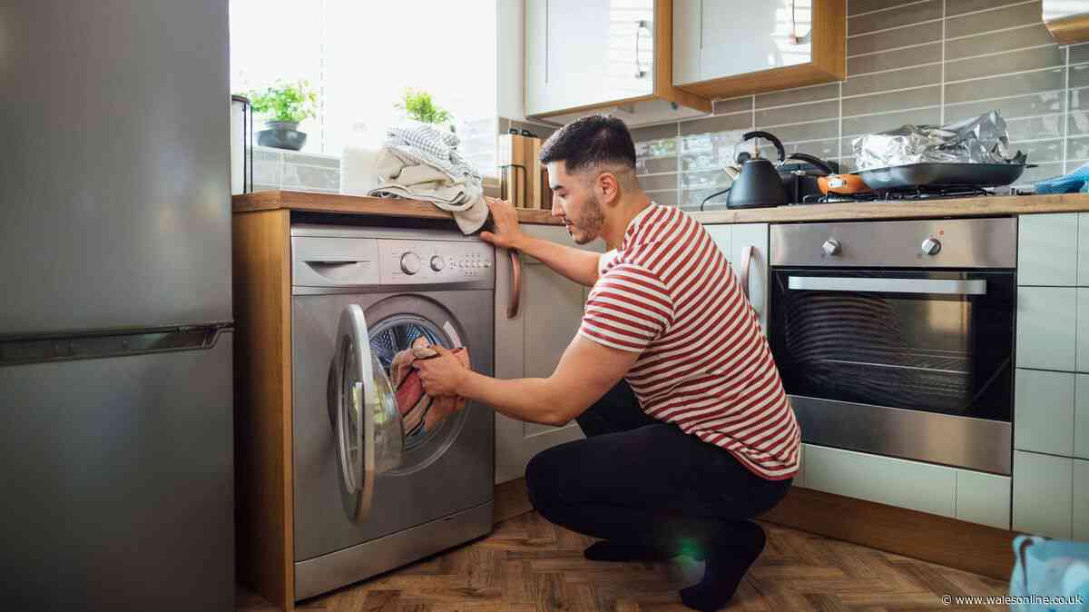 Best time of day to use your washing machine to help save money on energy bills