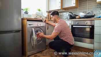 Best time of day to use your washing machine to help save money on energy bills