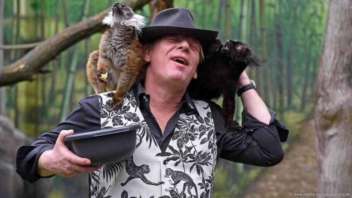 Ab 60 billiger raus: Europa-Park spart, Zoo Leipzig kassiert voll
