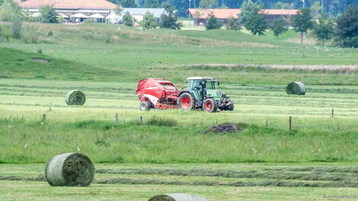 Großes Lob für Erfolgsprojekt