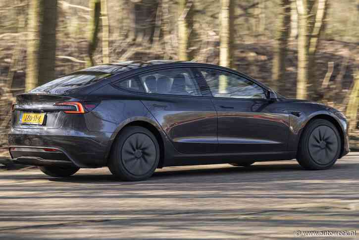 Tesla Model 3 en Y zijn razend populair: heeft Tesla nog iets anders nodig?