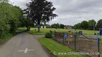 Police issue statement after girl, 11, found dead in park hours after missing report