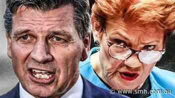 Taylor to slash migration by two-thirds in bid to rival One Nation