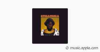 Hero - Michael Kiwanuka