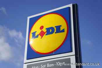 Lidl’s UK sales boosted by Deluxe range and pulling in more shoppers