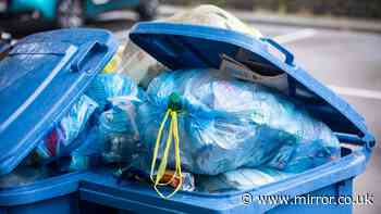 Binman warns 'this is what happens' when bins are overfilled