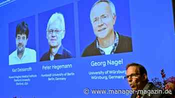 Medizin-Nobelpreis geht an zwei Deutsche und einen US-Forscher