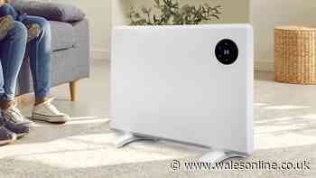 'Very efficient' smart heater drops to £107 after energy price cap rise