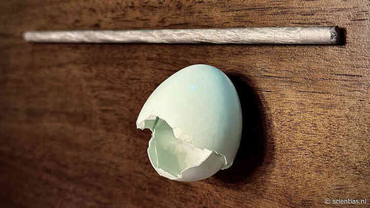 Eierschalen blijken verrassend bruikbaar voor het versterken van magnesium