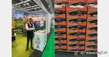 Groeiende Europese vraag stimuleert Egyptische zoete aardappelsector