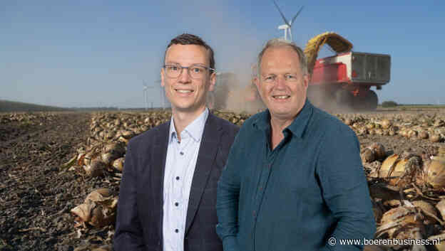 Zorgen over de kwaliteit van uien nemen toe