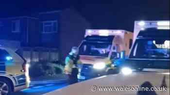 Armed police attend Newport street and woman in hospital after assault