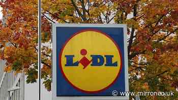 New Lidl £8 autumn jumper looks similar to £85 high-end John Lewis offer