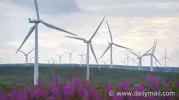 Why thousands of Scottish wind turbines are turned off - and costing Britain billions of pounds every year in the process