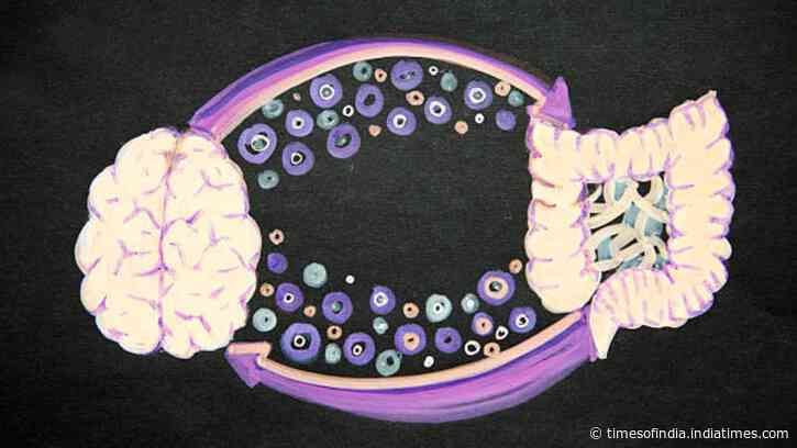 Your gut bacteria may reveal how quickly your brain is ageing; it effects memory, focus and mood