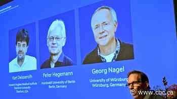 Nobel Prize in Medicine awarded to scientists who pioneered work in optogenetics
