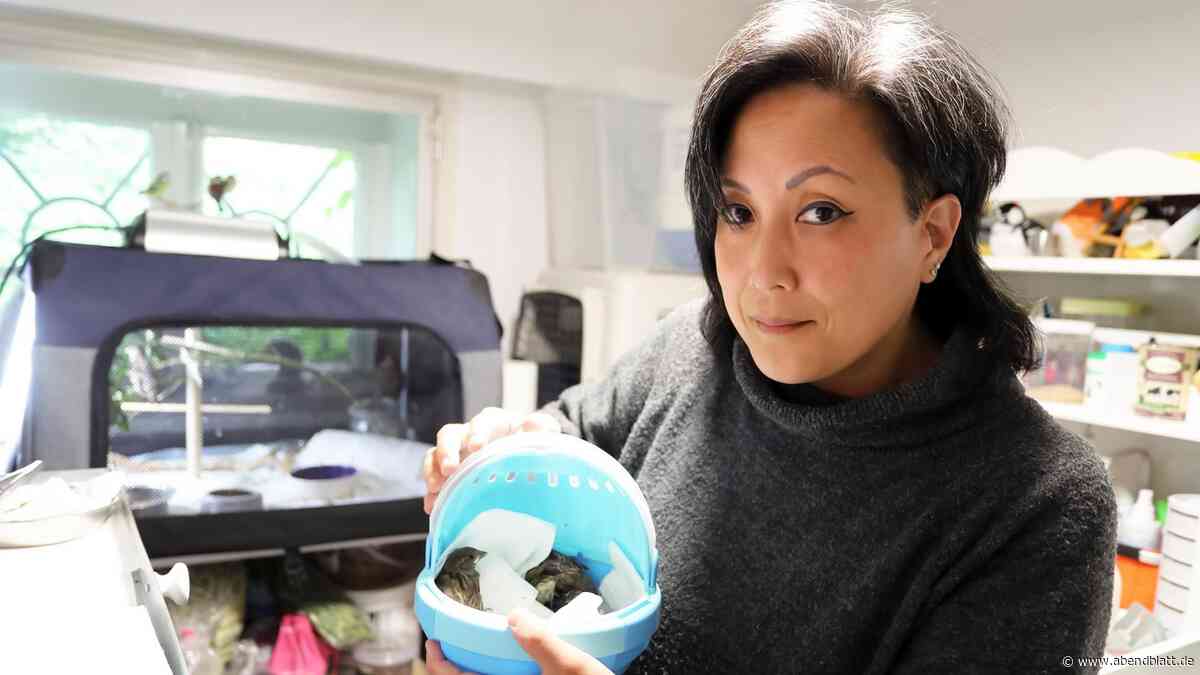 Tierschützer wollen sich der Tauben im Marktkauf-Parkhaus annehmen