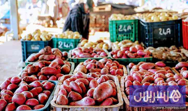 الخضر الأساسية تبدأ أكتوبر بالارتفاع .. ومهنيون يترقبون انفراج الأسعار