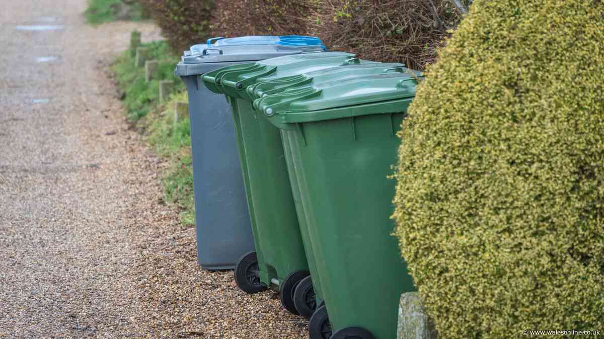 Binman shares 'simple' lid trick to stop bins getting lost