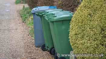 Binman shares 'simple' lid trick to stop bins getting lost