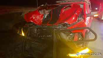 Sask. survivor of crash with moose shares warning about road dangers from wildlife