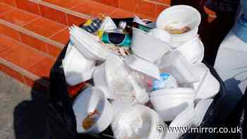 Binman 'check with council' now warning over throwing everyday item in bins