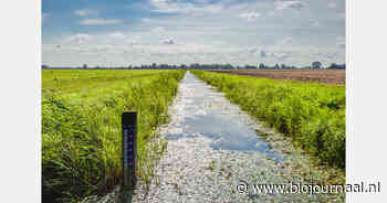 FNLI pleit voor Europese aanpak van PFAS bij de bron