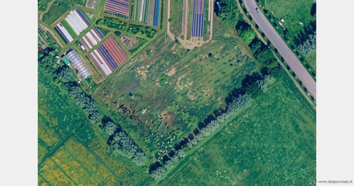 Gemeente Zwolle zegt huurcontract biologische tuinderij op na conflict over grond