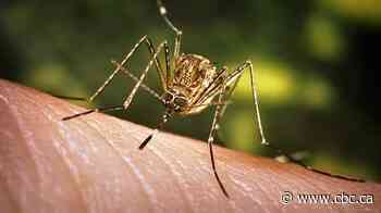 First human case of West Nile virus this year reported in Waterloo region