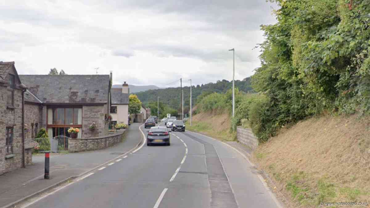 Driver and dog die as Audi hits parked car and both burst into flames on A470