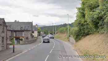 Driver and dog die as Audi hits parked car and both burst into flames on A470