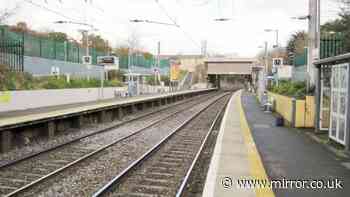 Person 'thrown in bin and pushed onto DART train tracks' in Dublin