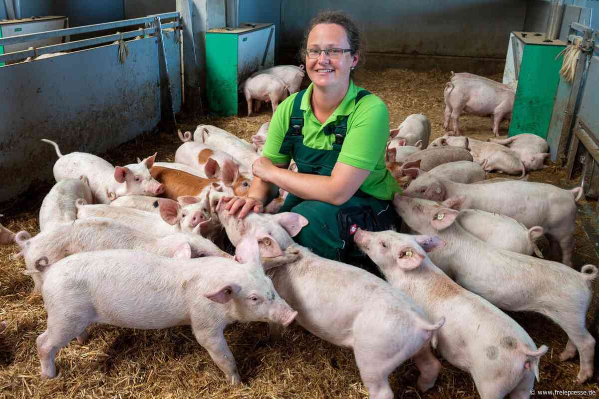 Das etwas andere Dorffest bei Rochlitz: Erstes Regio-Picknick im Festzelt Königshain