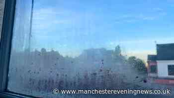 I stop condensation on windows with a 62p item everybody uses — it's so easy