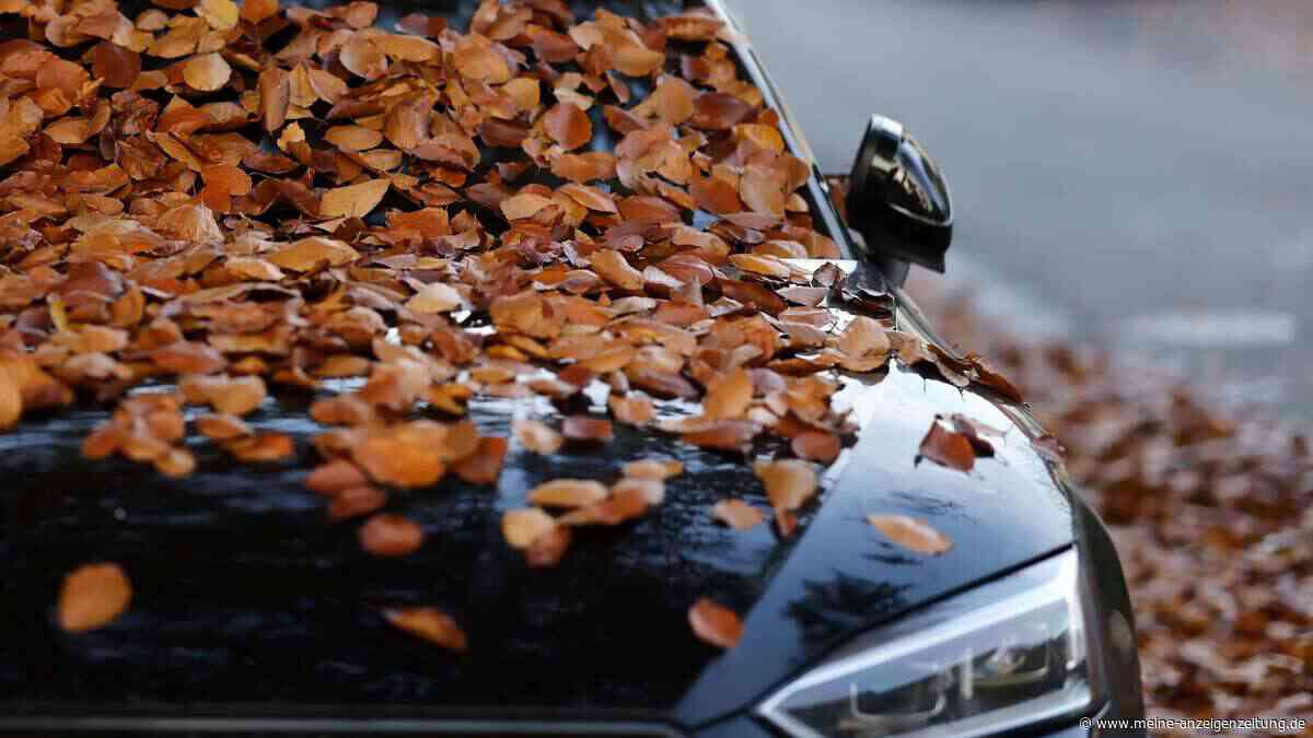 Teure Elektronikschäden durch Laub: ADAC warnt Autofahrer vor unterschätzter Gefahr