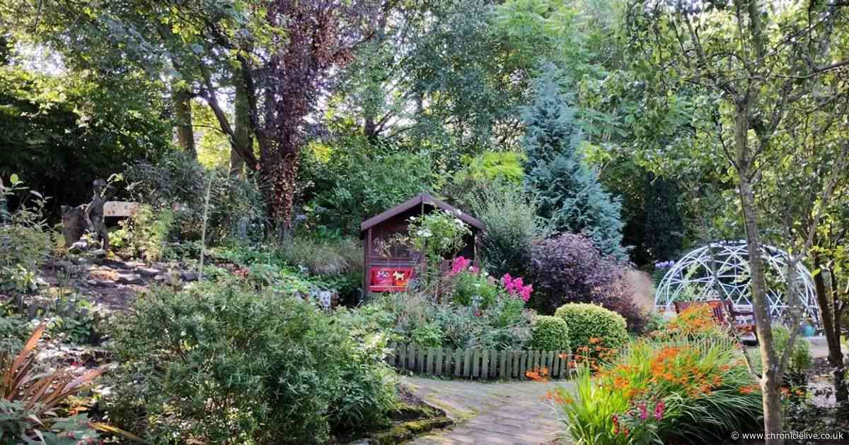 How to find 'hidden' North East garden with tea room that is perfect for autumn stroll