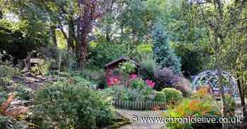 How to find 'hidden' North East garden with tea room that is perfect for autumn stroll