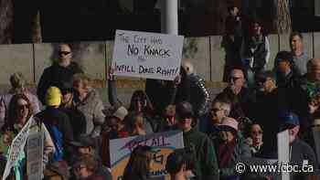 Edmonton infill protest brings hundreds to Churchill Square