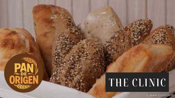 La panadería española Europastry compra participación mayoritaria de Alicomer, la chilena detrás de los panes de Walmart y Oxxo