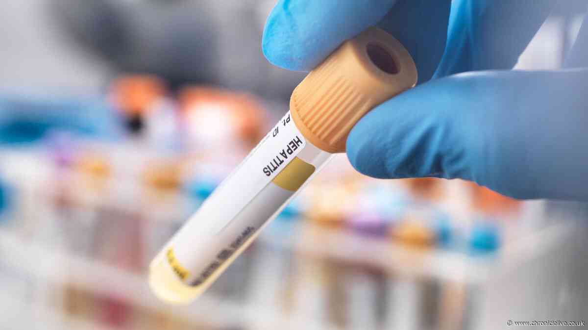 Newcastle schools Hepatitis A update as public health measures revealed