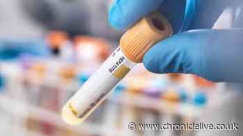 Newcastle schools Hepatitis A update as public health measures revealed