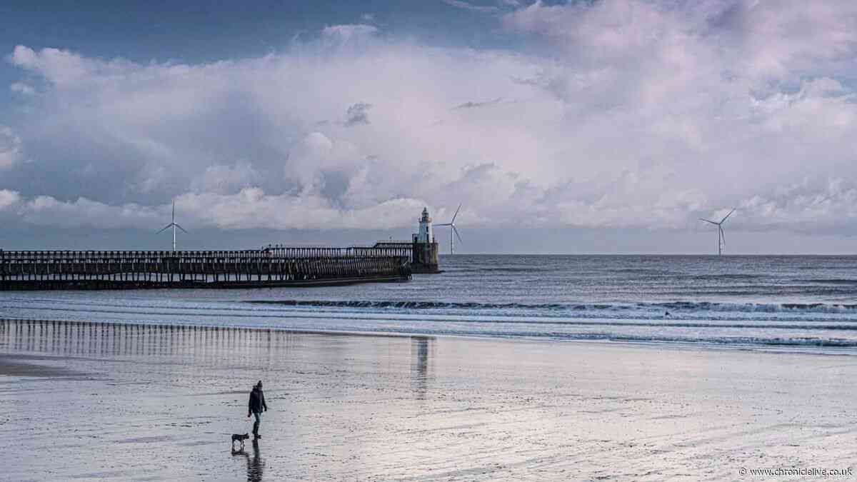 Major update as 'likely' source of Blyth Beach pollution identified