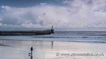 Major update as 'likely' source of Blyth Beach pollution identified