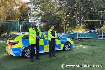 Death of girl, 11, ‘unexplained’ after body found in park