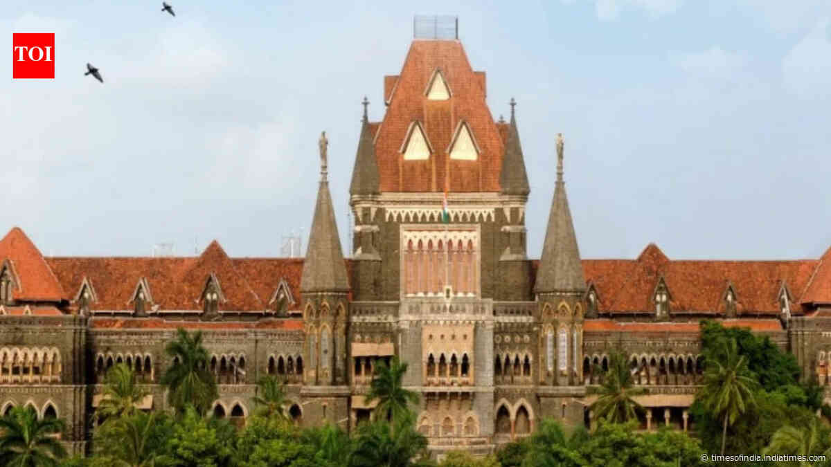 'What's the purpose of SIR if citizens are removed?' Bombay high court's Goa bench raps EC