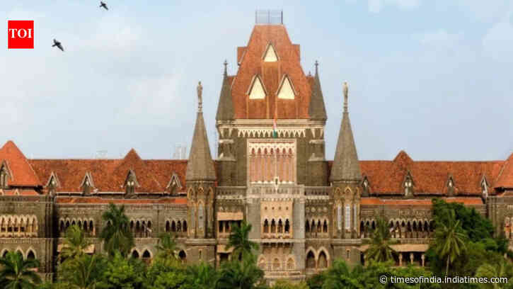 'What's the purpose of SIR if citizens are removed?' Bombay high court's Goa bench raps EC