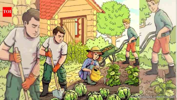 Optical illusion personality test: You are a genius if you can spot all three hidden words within the first 10 seconds!