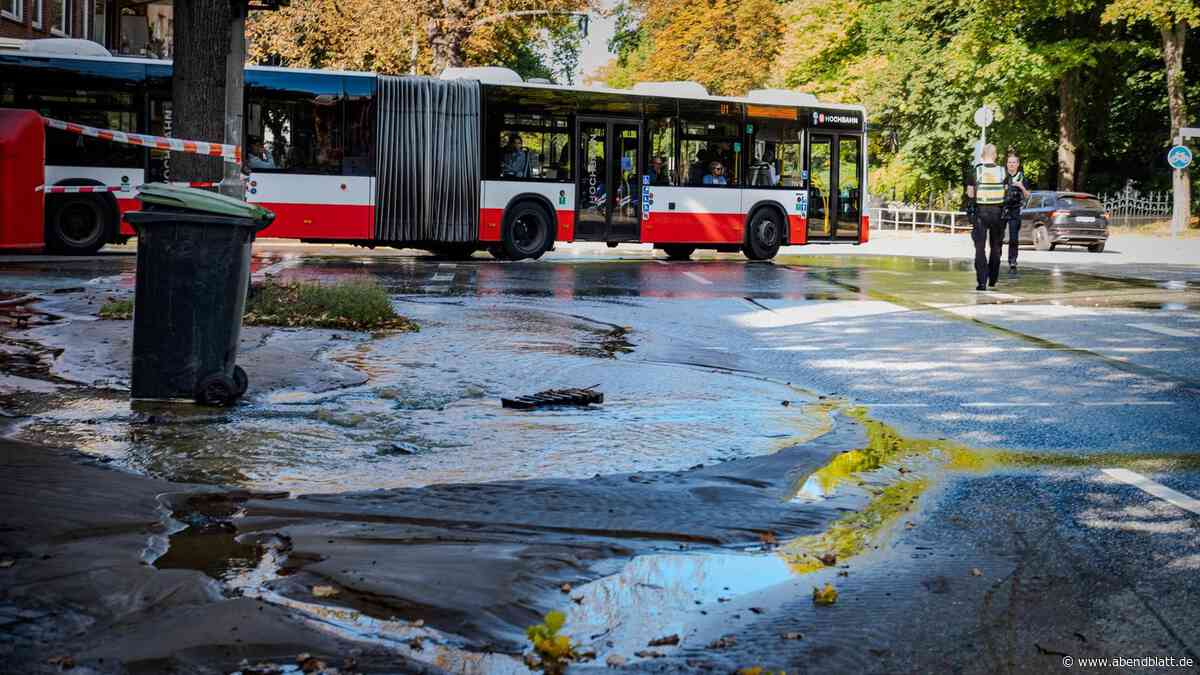 Nach Rohrbruch: Friedhof Ohlsdorf öffnet Schranken und Tore rund um die Uhr